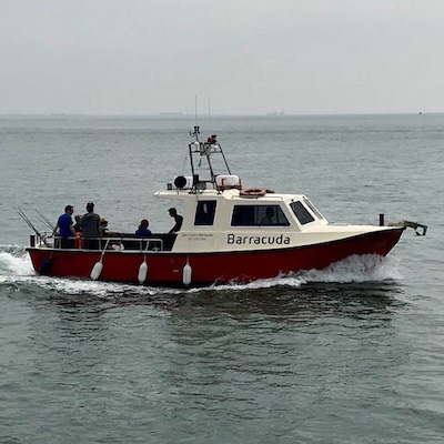 zeevissen-op-de-boot-Barracuda kopie