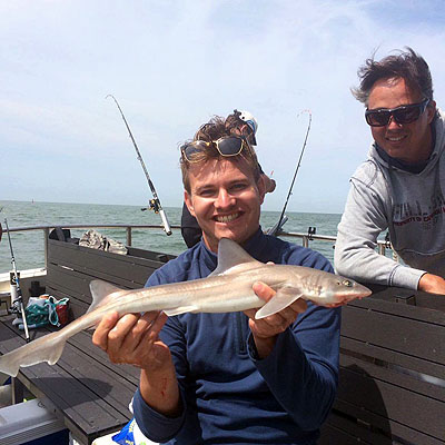 Barracuda klant toont wat hij heeft gevangen tijdens de haaivissen Zeeland trip Barracuda klant toont wat hij heeft gevangen tijdens de haaivissen Zeeland trip
