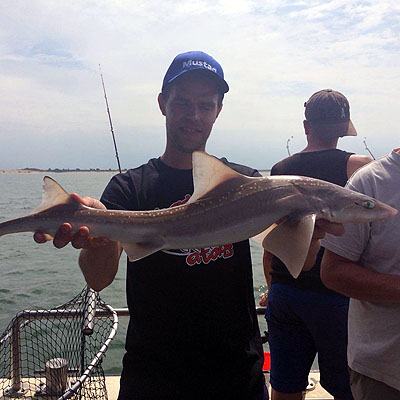 Man met gevangen haai in Zeeland Man met gevangen haai in Zeeland