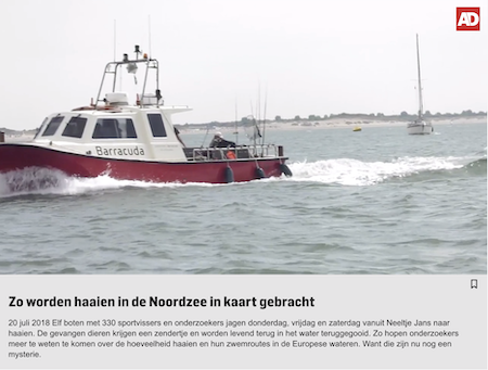 video over haaienvissen Noordzee