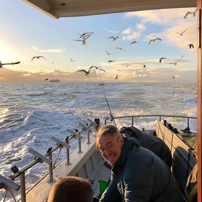 zeemeeuwen die achter de boot vliegen tijdens dagje makreelvissen zeeland zeemeeuwen die achter de boot vliegen tijdens dagje makreelvissen zeeland